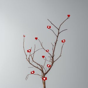 Instagram followers Likes comments